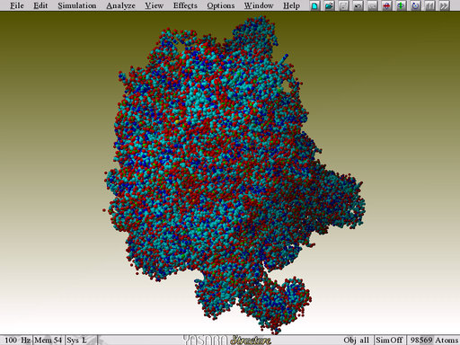 Ribosome, all atoms