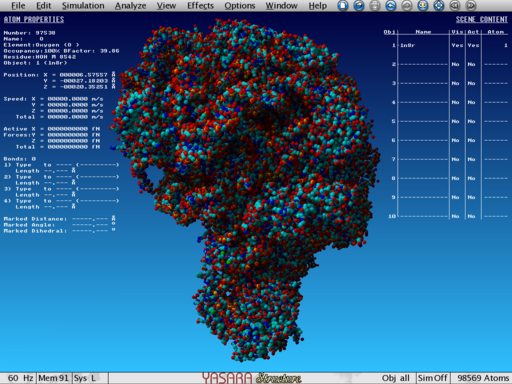 Ribosome, all atoms