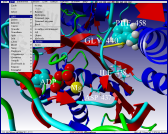Molecular modeling of myosine