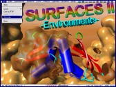 Interactive surface visualization