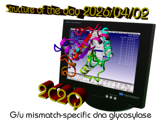 The WHAT IF / YASARA Twinset