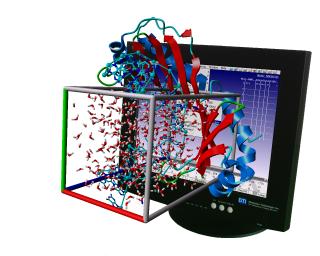 DTI Virtual Window