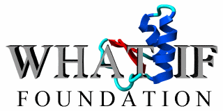 WHAT IF Foundation