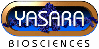 YASARA Biosciences