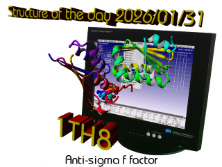 The WHAT IF / YASARA Twinset