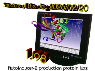 The WHAT IF / YASARA Twinset