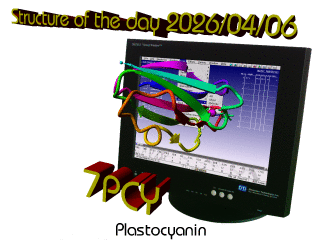 The WHAT IF / YASARA Twinset