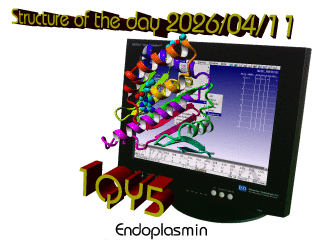 The WHAT IF / YASARA Twinset