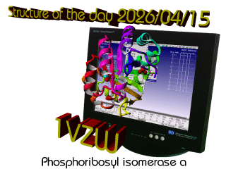 The WHAT IF / YASARA Twinset