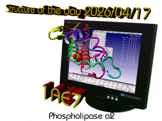 The WHAT IF / YASARA Twinset