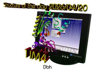 The WHAT IF / YASARA Twinset