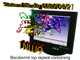 The WHAT IF / YASARA Twinset