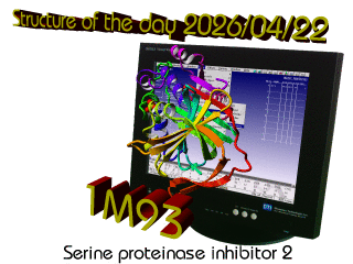 The WHAT IF / YASARA Twinset