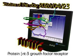 The WHAT IF / YASARA Twinset