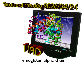 The WHAT IF / YASARA Twinset