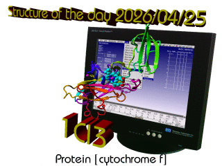 The WHAT IF / YASARA Twinset