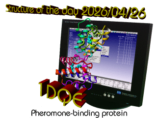 The WHAT IF / YASARA Twinset