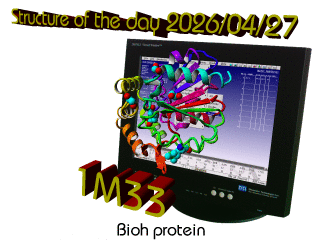 The WHAT IF / YASARA Twinset