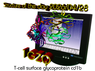 The WHAT IF / YASARA Twinset