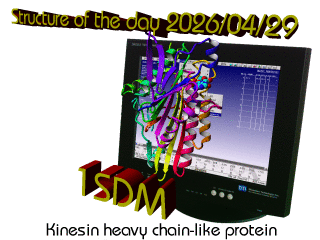 The WHAT IF / YASARA Twinset