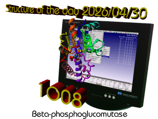 The WHAT IF / YASARA Twinset