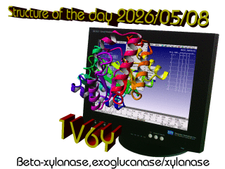 The WHAT IF / YASARA Twinset