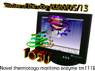 The WHAT IF / YASARA Twinset