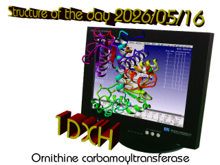 The WHAT IF / YASARA Twinset