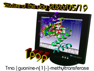 The WHAT IF / YASARA Twinset