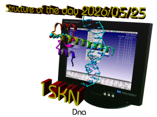 The WHAT IF / YASARA Twinset