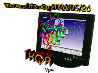 The WHAT IF / YASARA Twinset