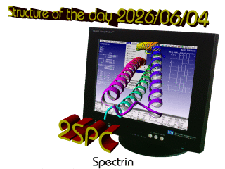 The WHAT IF / YASARA Twinset