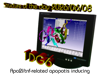 The WHAT IF / YASARA Twinset