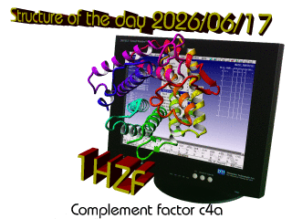 The WHAT IF / YASARA Twinset