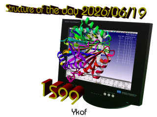 The WHAT IF / YASARA Twinset