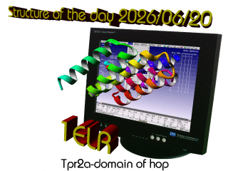 The WHAT IF / YASARA Twinset