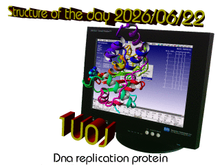 The WHAT IF / YASARA Twinset