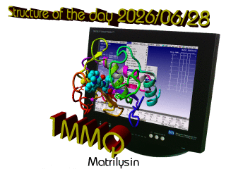 The WHAT IF / YASARA Twinset