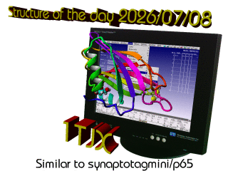 The WHAT IF / YASARA Twinset