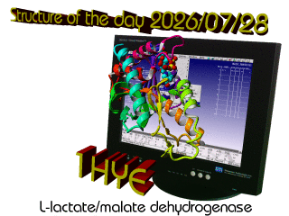 The WHAT IF / YASARA Twinset