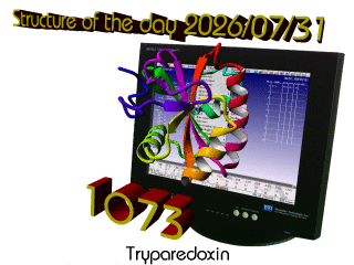 The WHAT IF / YASARA Twinset