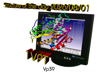 The WHAT IF / YASARA Twinset