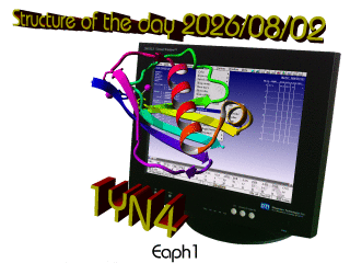 The WHAT IF / YASARA Twinset