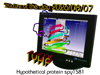 The WHAT IF / YASARA Twinset