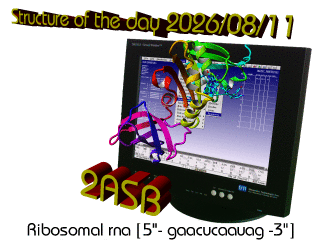 The WHAT IF / YASARA Twinset