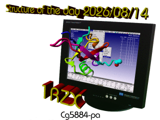 The WHAT IF / YASARA Twinset