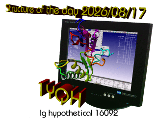 The WHAT IF / YASARA Twinset