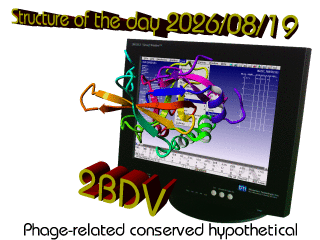 The WHAT IF / YASARA Twinset