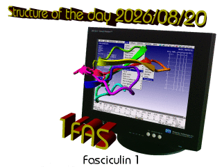 The WHAT IF / YASARA Twinset