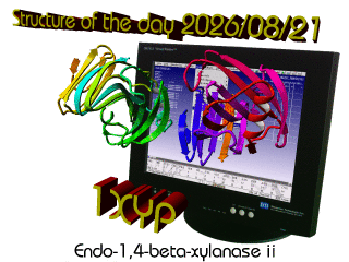 The WHAT IF / YASARA Twinset